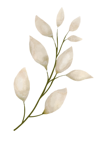 vector